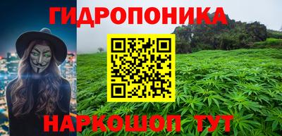 ГАЛЛЮЦИНОГЕННЫЕ ГРИБЫ Свободный