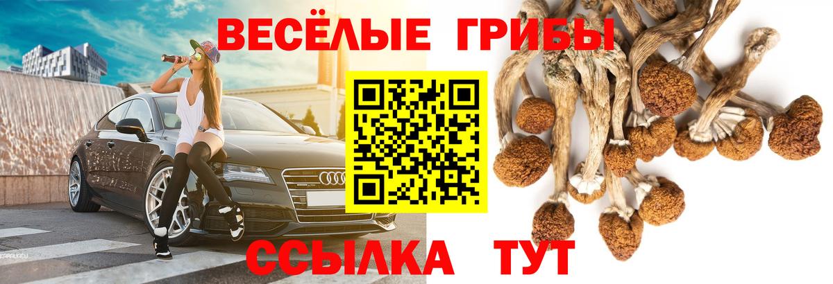 Псилоцибиновые грибы прущие грибы Орск